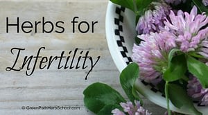 Herbs for Infertility : Inexperienced Path Herb Faculty