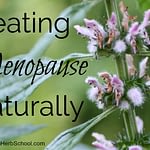 Treating Menopause Naturally : Inexperienced Path Herb College