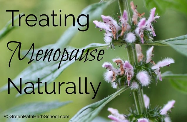 Treating Menopause Sm