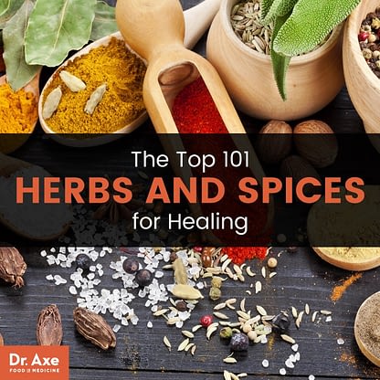 The Top 101 Herbs And Spices For Healing Dr.