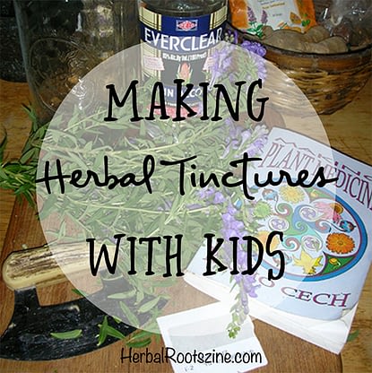 Making Herbal Tinctures