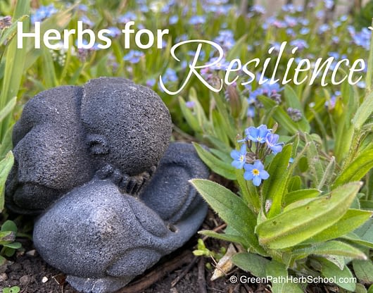 Herbs For Resilience 1