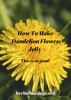 Dandelion Flower Jelly