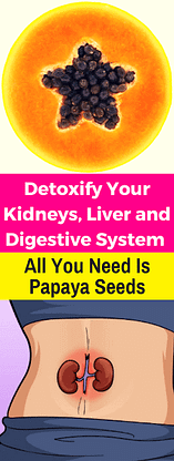 Detoxify Your Kidneys Liver And Digestive System – All You Need Is Papaya Seeds Min