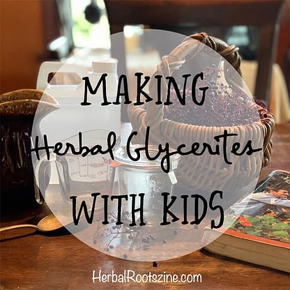Making Herbal Glycerites With Kids