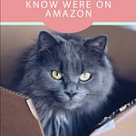 Wonderful Cruelty Free Manufacturers You Did not Know Have been on Amazon | My Magnificence Bunny