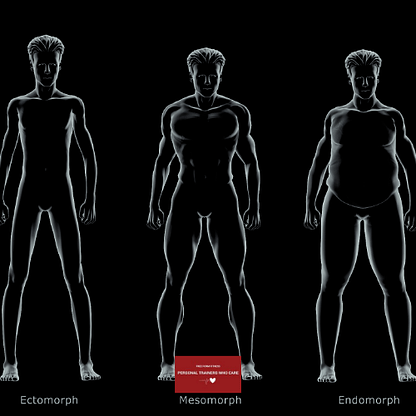 Featured Image Body Types